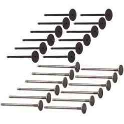 O'Reilly Auto Parts – 24X Exhaust & Intake Valves Bundle for Chrysler for Dodge 3.2L 3.5L 4.0L SOHC 24V