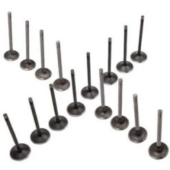O'Reilly Auto Parts – 16 Exhaust Intake Valve 6mm for Saturn Ion L200 L100 LW200 2.2L 2.0L 12622329