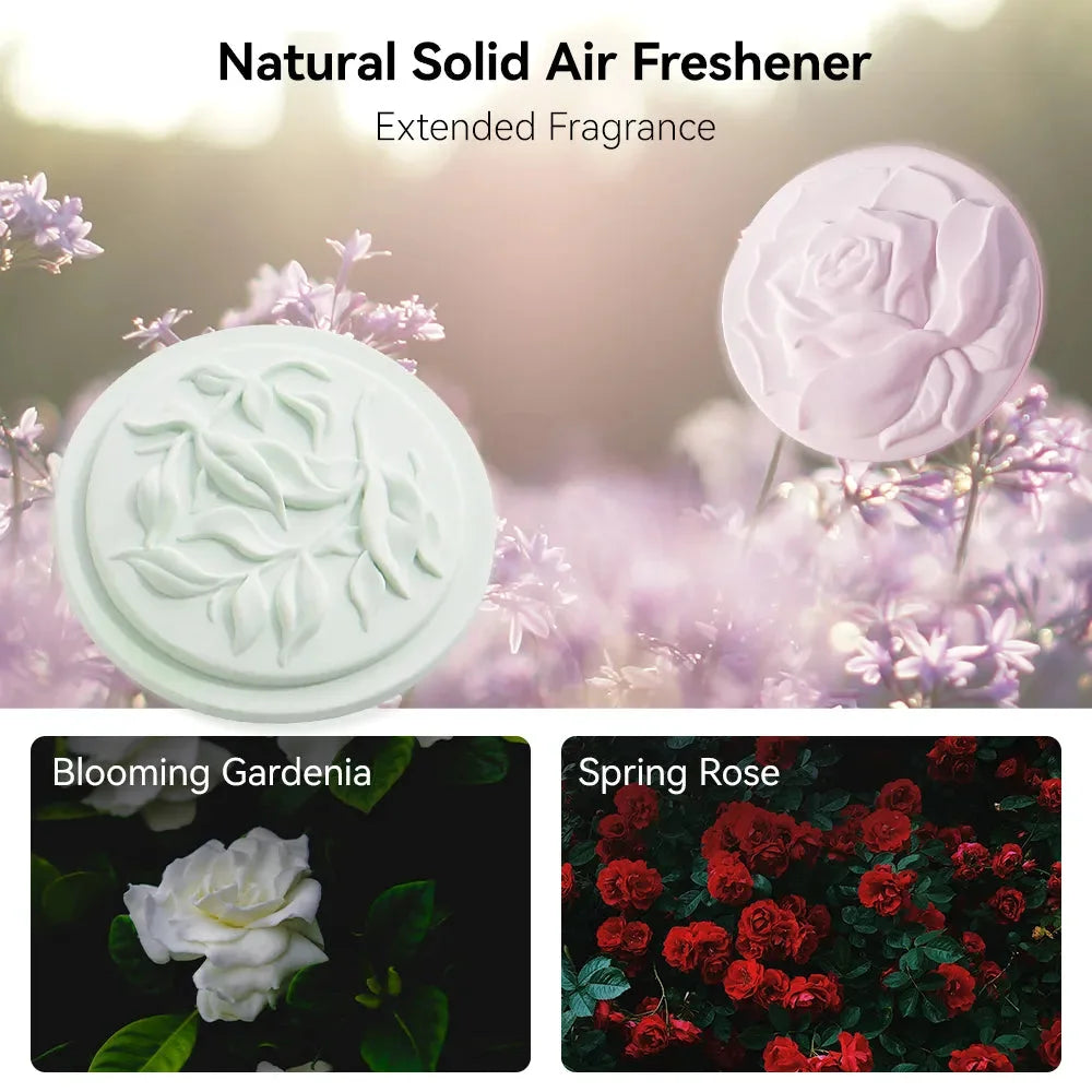 O'Reilly Auto Parts – Hanging Auto Air Freshener Diffuser with Natural Essential Oils and Long-lasting Fragrance Auto Add-ons - Image 9